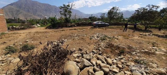 VENTA DE TERRENO CAMINO A SIMBAL - SECTOR PEDREGAL