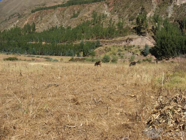 VENTA DE TERRENO DE OCASIÓN QUIQUIJANA QUISPICANCHIS CUSCO