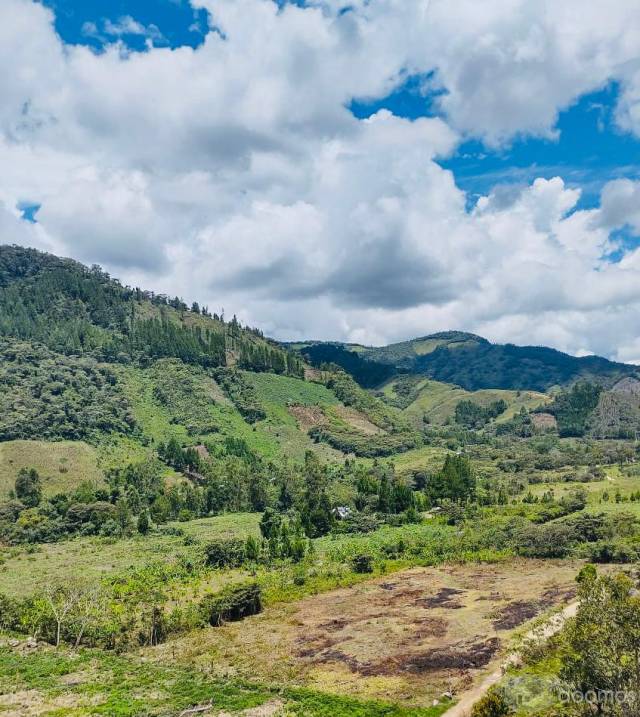 Vendo Hermoso Terreno de 7,200 mt2 frente a carretera auxiliar en Alto Carolina - Oxapampa