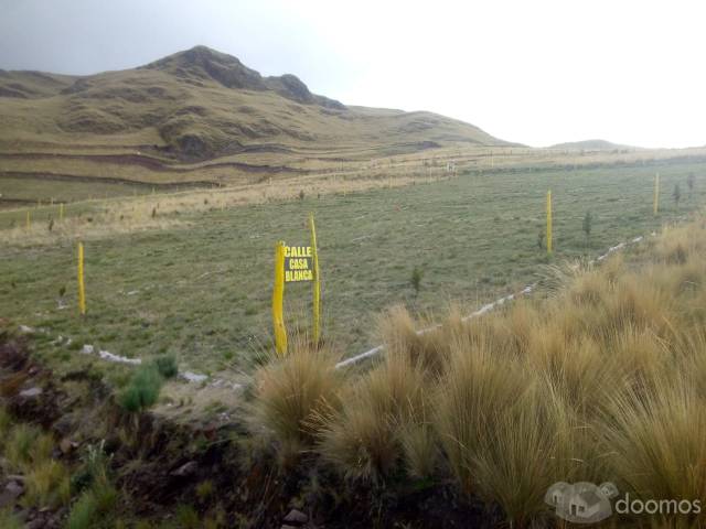 VENTA DE LOTES EN CUSCO