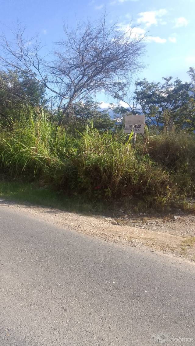 Se vende un terreno ubicado, en el sector molino, al costado de la iglesia evangelica, Junto a la pista principal. Numero de Contacto: 910401756