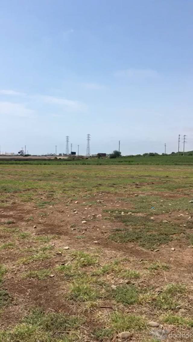 Vendo Terreno de 2.5 Hectareas en Chincha