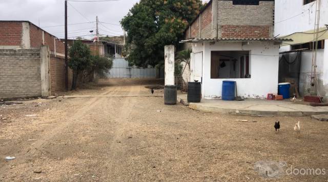 Alquilo - Vendo Local Industrial 8,177m2 en La Cruz, Tumbes