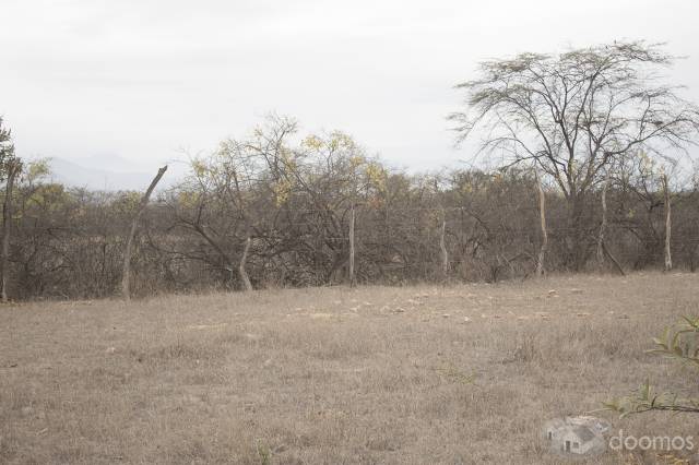 Venta de terreno agricola en Motupe Chiclayo