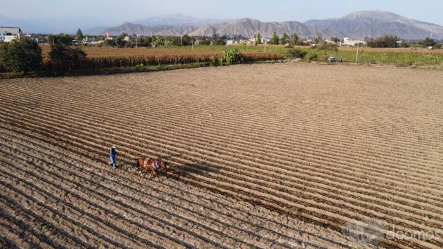 SE VENDE TERRENO DE 2.5 HECTÁREAS - Canaan (bodega) , PISCO