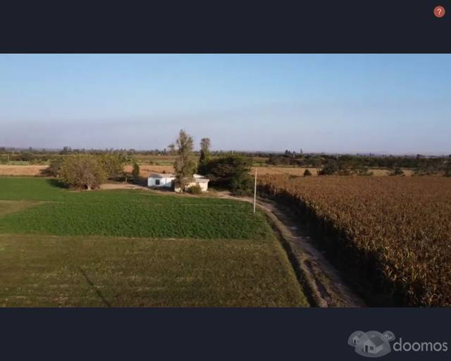 SE VENDE TERRENO AGRICOLA DE 14 HECTAREAS - SECTOR MONTALVAN (TINEO) , PISCO