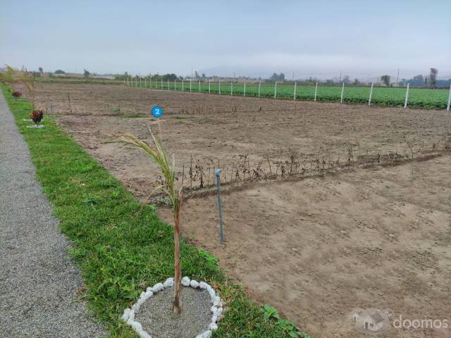 VENTA DE LOTE - HACIENDA CAMPO VERDE II ETAPA