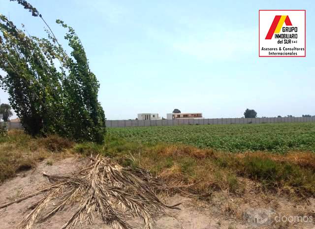 VENTA DE TERRENO PARA CASAS DE CAMPO Y PLAYA IDEAL PARA CABALLERIZAS DE 4.17 Has EN CAUCATO PISCO