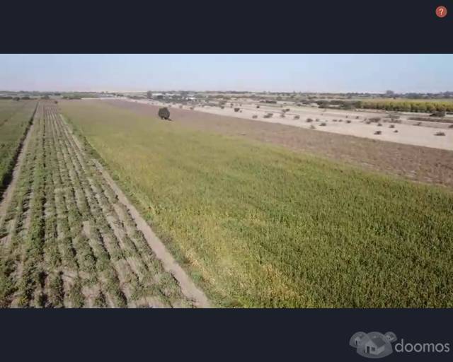 SE VENDE TERRENO AGRICOLA DE 5.02 HECTAREAS San José, EL CARMEN - CHINCHA