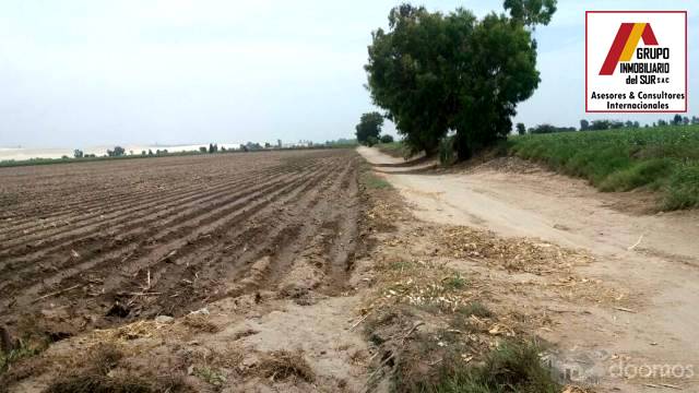 Venta de 1 parcela agrícola de 4.9370 has en Caucato alto – San Clemente - Pisco