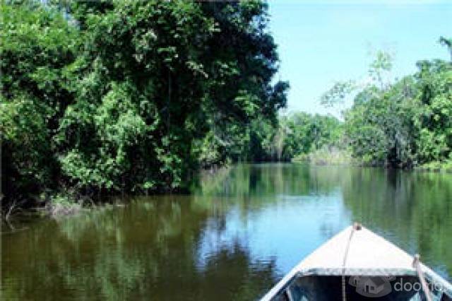 Terreno en la selva a precio de Remate