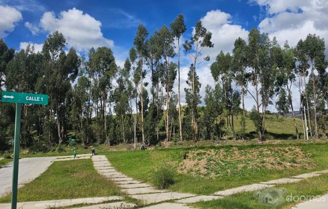 Terreno con 3 frontis Etapa 1 Urb. Los Eucaliptos – El Tambo