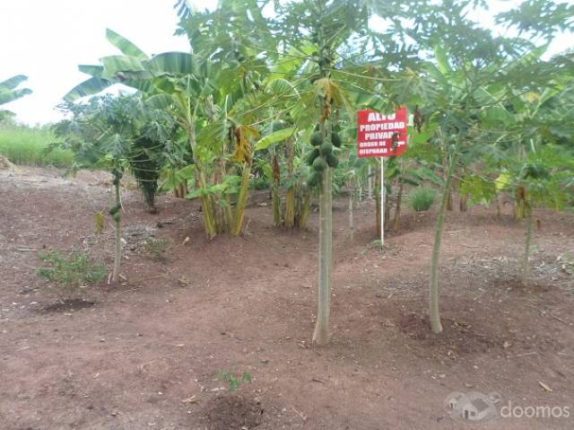 Hermoso terreno a un kilómetro de la entrada de Lamas