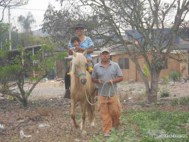 vENDO cASA DE cAMPO pACHACAMAC