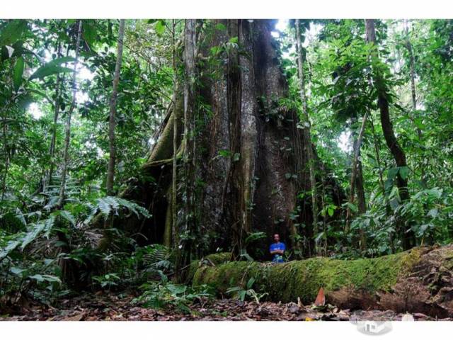 Excelente proyecto de Inversión Turistica Peruana