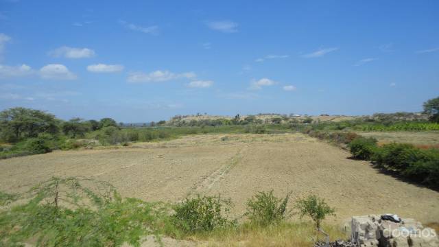 Venta de Terreno Agricola