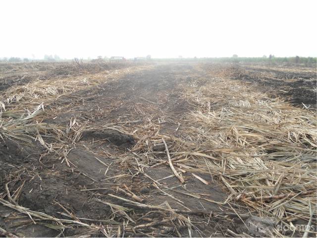 VENTA DE TERRENO AGRÍCOLA DE 4 HECTÁREAS EN CHACACA.