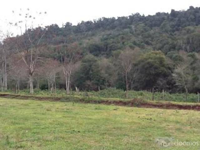 vendo dos lotes de terreno de 106 ha y 96 ha.