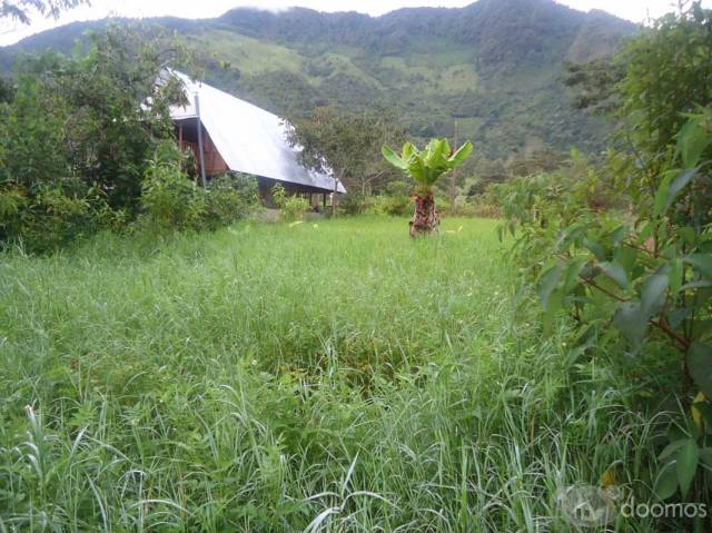 Hermoso Terreno Plano en Oxapampa - Cantarizu