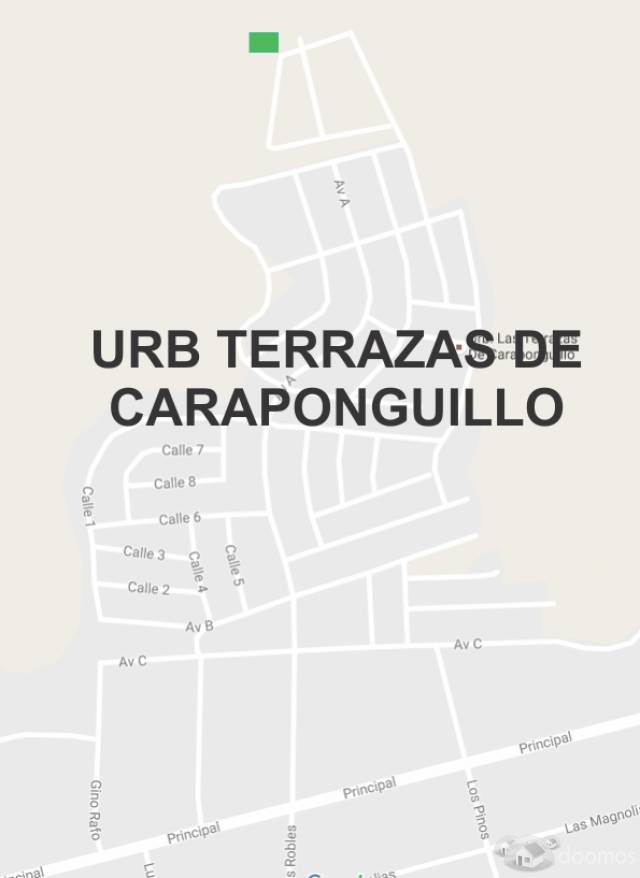 CARAPONGUILLO REMATO POR VIAJE