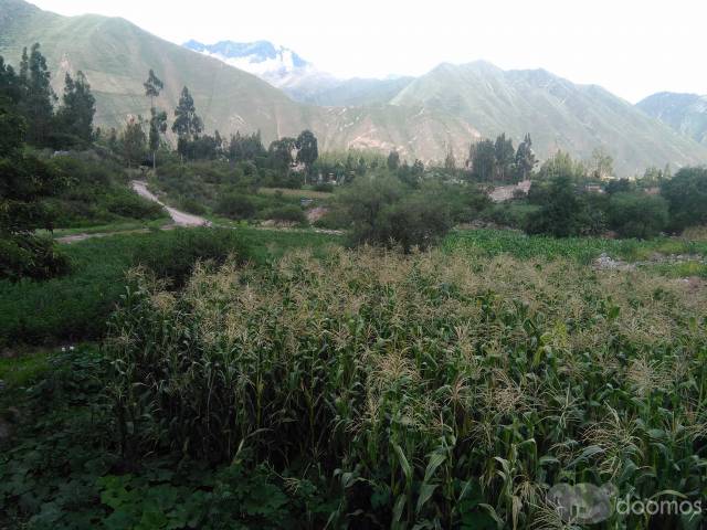 terreno de cultivo y para casa de campo