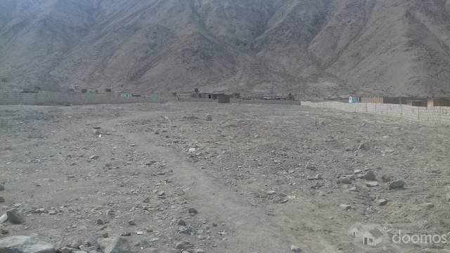 TERRENO PLANO,PAMPA EN HUERTOS DE RÍO SECO,CARABAYLLO.