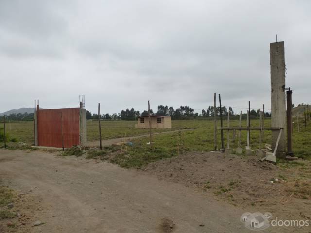 VENTA DE TERRENO DE 10,000 M2 EN MALA