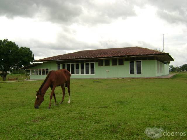 Venta Terreno Pucallpa: Fundo Villa Iris