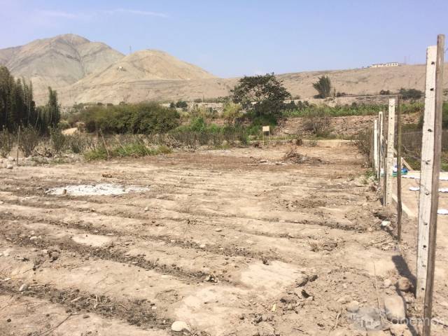 TERRENO EN VENTA EN EL HERMOSO VALLE DE MALA (PROVINCIA CAÑETE, LIMA)