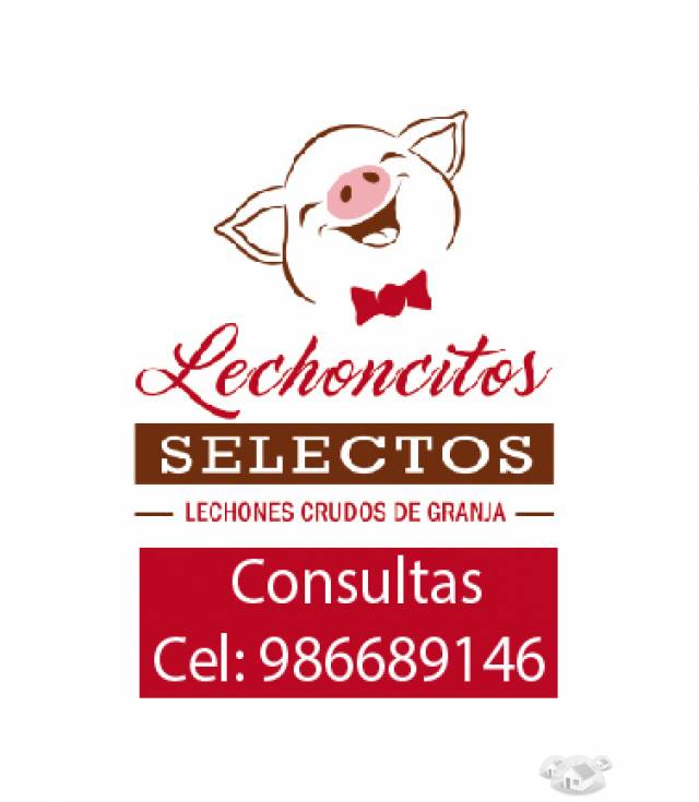 Lechones Crudos para Eventos