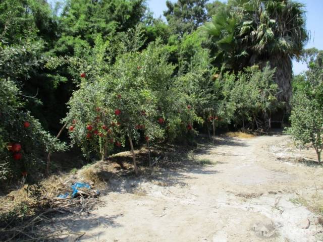 Venta de terreno en pisco Gran oportunidad