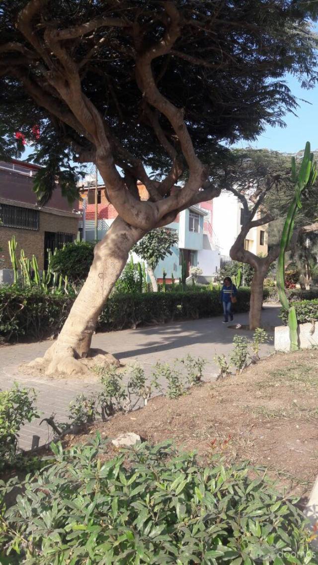 Linda Casa en zona tranquila de Surco