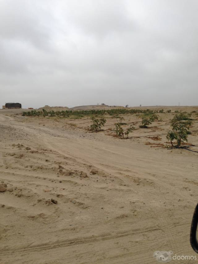 Ocasion Terreno para  uso Deposito/Agricola  5.275 Has en Las Antillas de Paracas