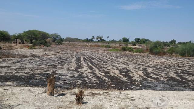 REMATE DE TERRENOS EN CHALACO