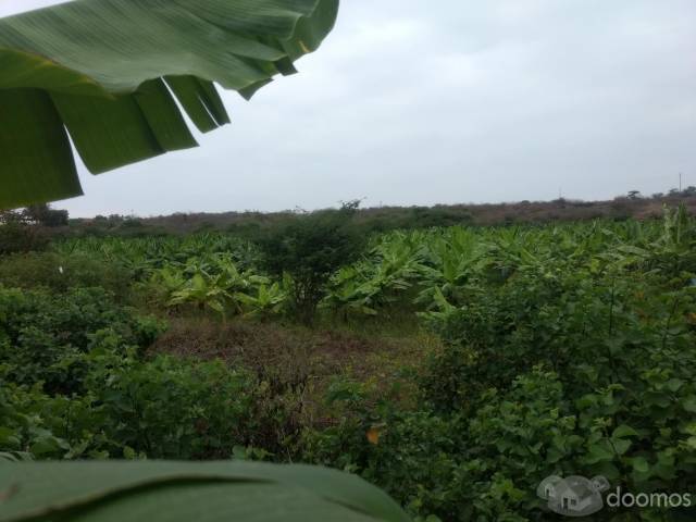 terreno con casa de campo