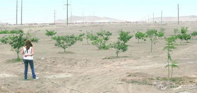 Remato por viaje Terrero de 2,500m2 en Ancon