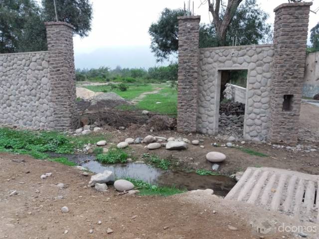 Venta de Terreno Agrícola - PACHACAMAC