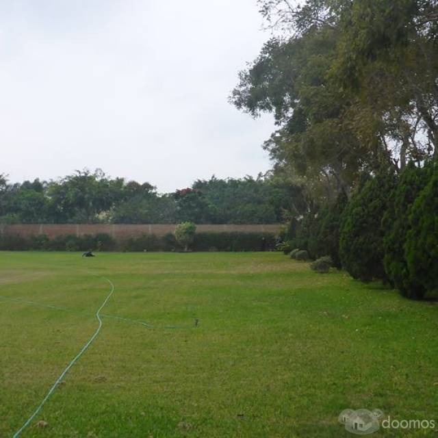 TERRENO CASA BLANCA - PACHACAMAC