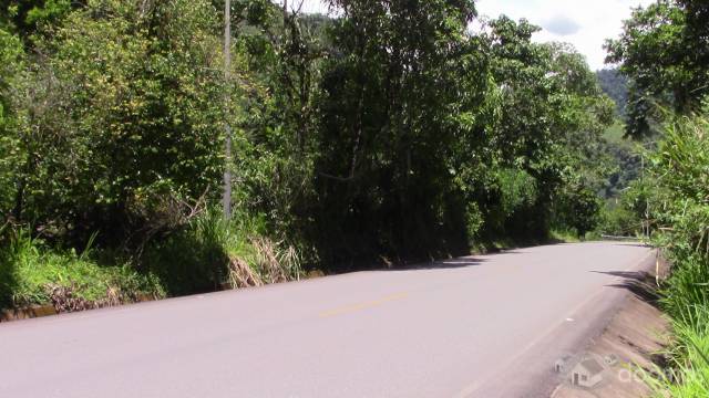 TERRENO PLANO-SEMIPLANO 40 000 METROS MUY CERCA A LA PISTA EN SAN LUIS DE SHUARO