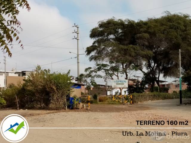 TERRENO URB. LA MOLINA – PIURA