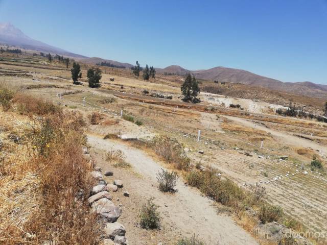 TERRENO PARA CASA DE CAMPO CHIGUATA