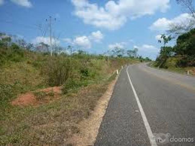 TERRENO PAPELES EN REGLA DE 2000 M2 EN EL TRIUNFO A PIE DE CARRETERA