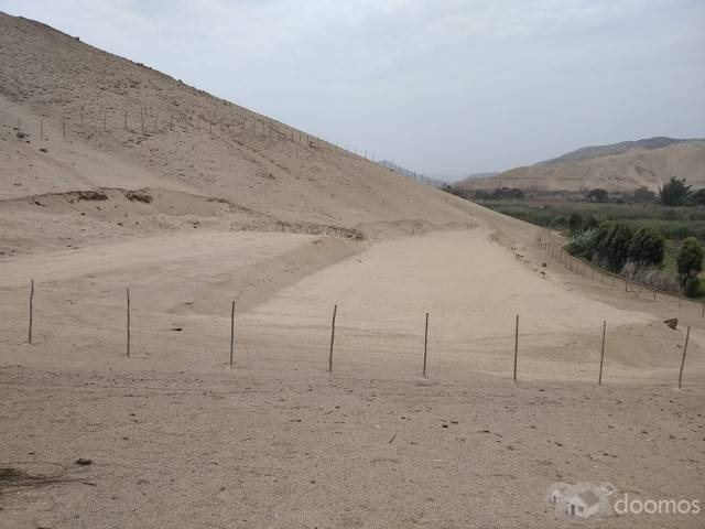 VENDO TERRENO EN CERRO AZUL CAÑETE