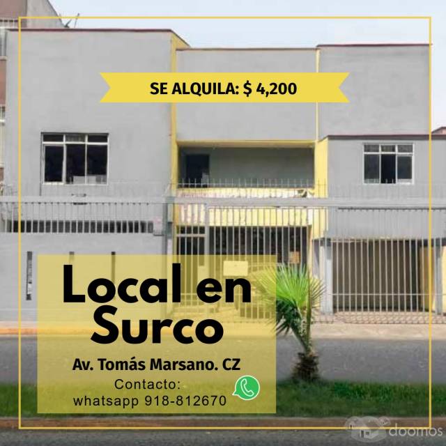 EXCELENTE LOCAL COMERCIAL 300 MTS  SURCO