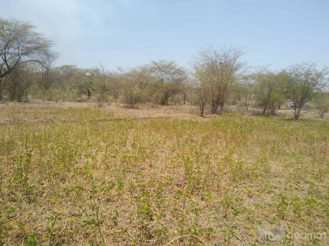 VENTA DE TERRENO EN YAPATERA-CHULUCANAS