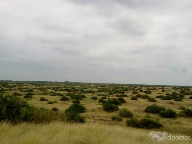 VENTA DE TERRENO SULLANA-TAMBOGRANDE