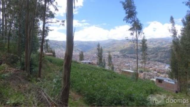 Gran Oportunidad de Inversión y Rentabilidad en Terreno para Lodge Hotel u Otro Proyecto