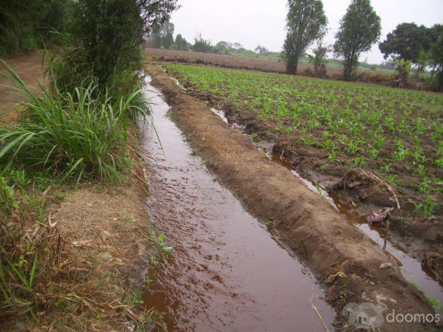 VENTA 13.41 Hrs.  (134,100 m2)TERRENO AGRÍCOLA Huaral EXCELENTE OPORTUNIDAD