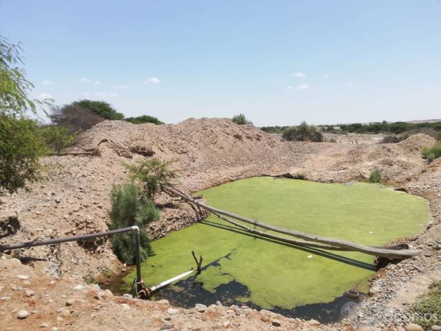 SE VENDE TERRENO AGRÍCOLA CON POZO PROPIO POR MOTIVOS DE SALUD