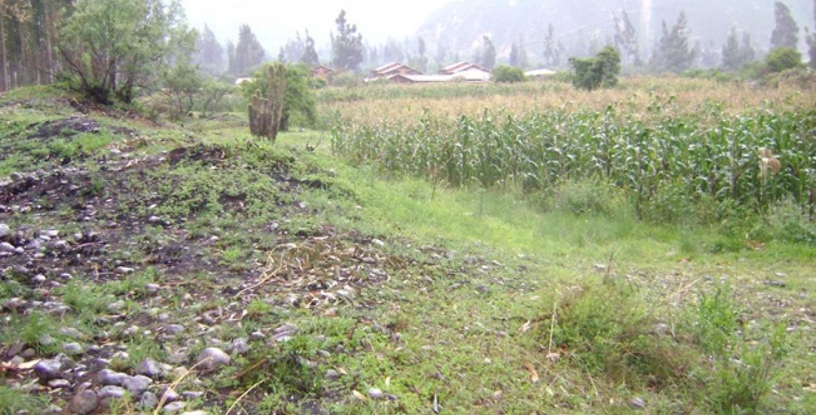 Terrenos Rusticos Venta AV. Pauccarniyoc Grande  - CUSCO